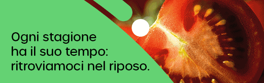 ENZA-ZADEN-FLEXI-SITO-251218