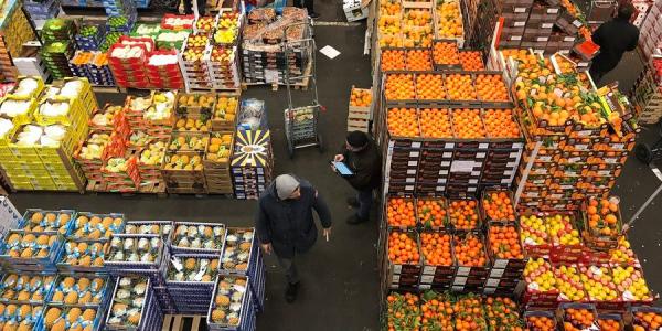 Ingrosso tra luci e ombre ma pienamente operativo