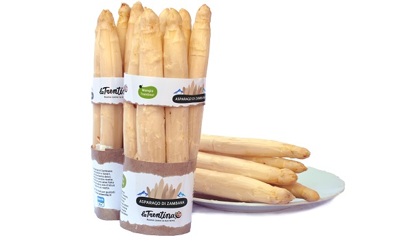 L'asparago bianco di Zambana venduto a marchio La Trentina