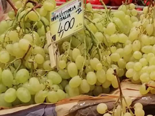 Cia Puglia: «Per l'uva c'è una pericolosa corsa al ribasso»