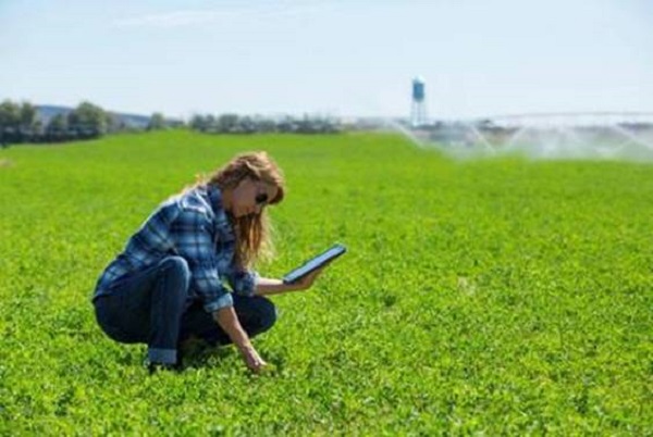 Corteva Agriscience, una nuova app per proteggere i raccolti