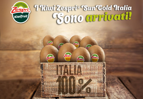 Kiwi Zespri, iniziano le vendite del SunGold italiano 