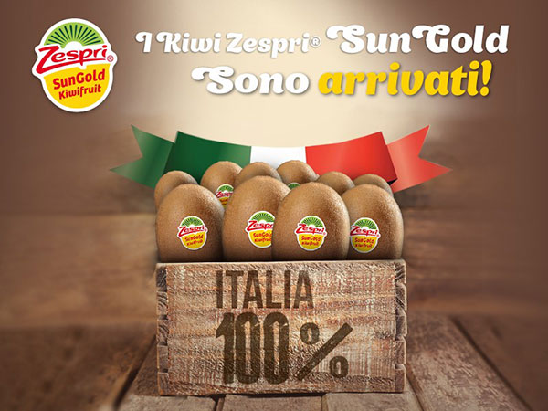 Zespri SunGold, nei punti vendita la produzione italiana
