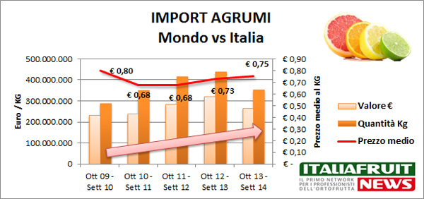 agrumi-import-2014-ifn