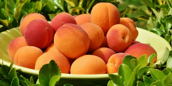 Borsa della Spesa, aumenta la domanda della frutta estiva