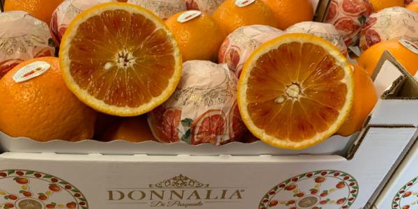 Arance rosse, Donnalia sposa l'Igp