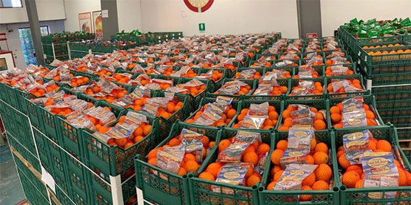 Conad salva l'arancia delle necropoli rupestri