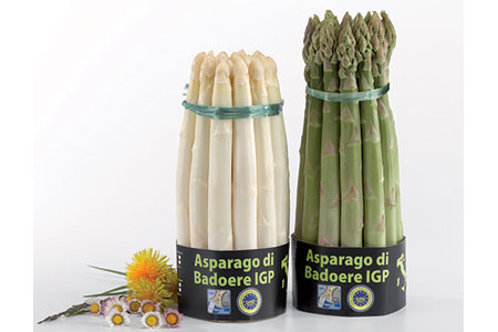 Asparago Badoere Igp
