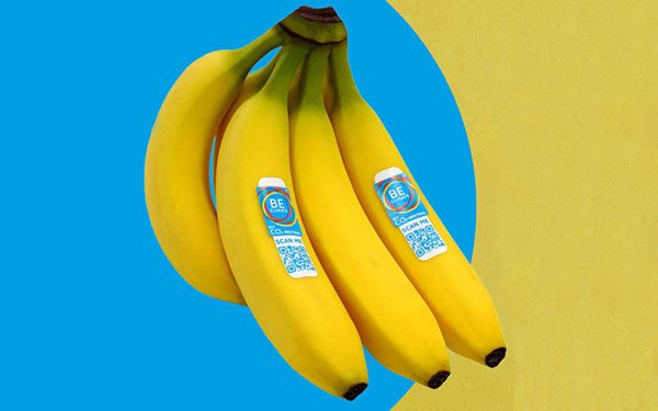 Nasce «Be Climate», la banana bio e a zero emissioni
