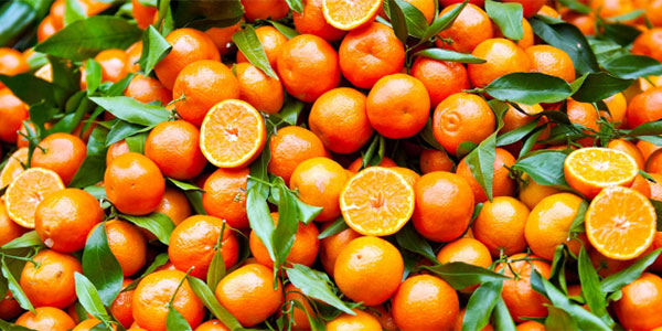 Crisi clementine, torna in auge il prezzo minimo garantito