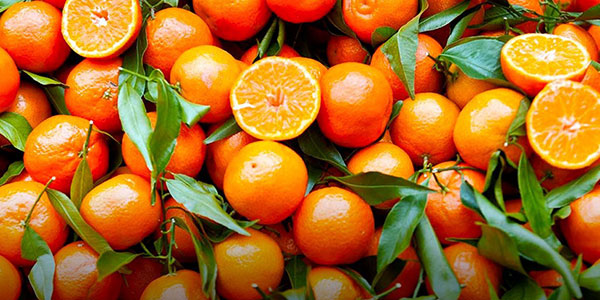 Clementine «svendute», tensione in Puglia
