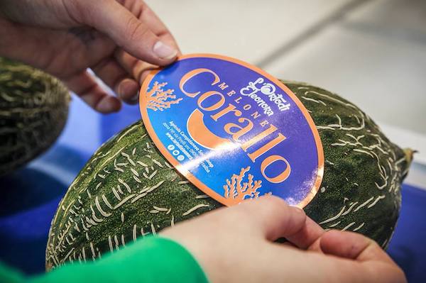 Corallo d'oro al Macfrut Innovation Award