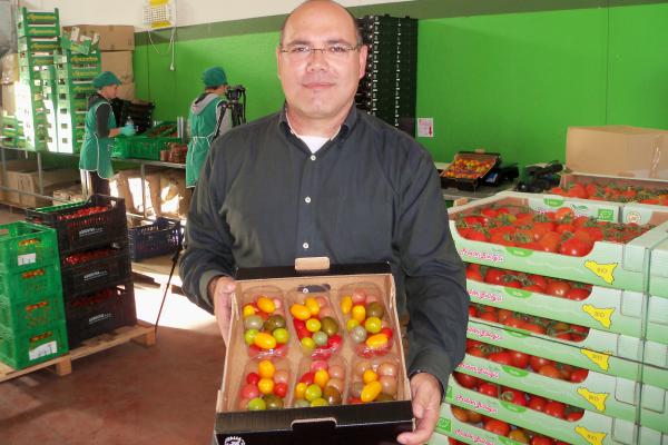 «Pomodoro bio e convenzionale, prezzi sempre più vicini»