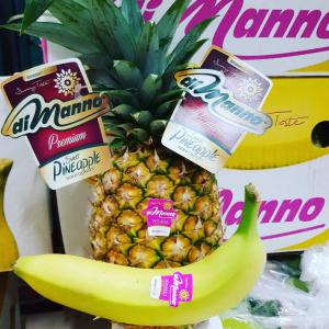 Ananas Di Manno