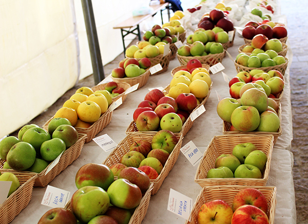 Festa della mela, grande successo per i prodotti bio
