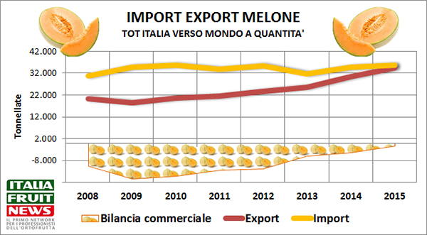 import-export-melone2-italia