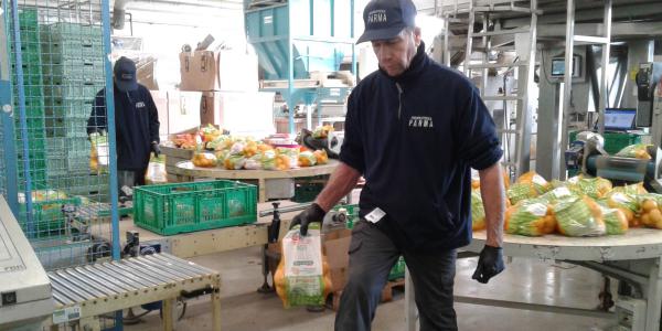 Ortofrutticola Parma patate