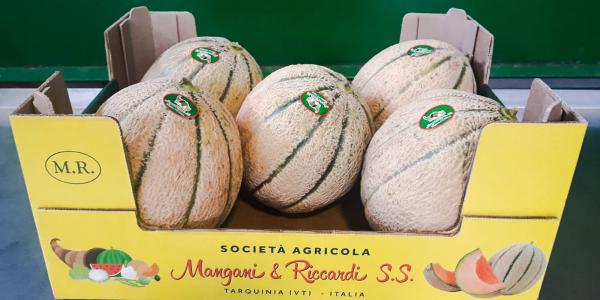 Meloni Mangani & Riccardi