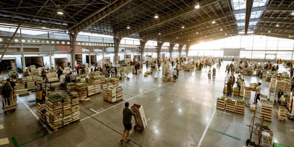 Bio e prodotti locali per il rilancio del Mercato di Tolosa