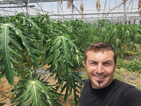 Frutti esotici bio e italiani, il connubio magico