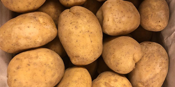 Caro-patate, prezzi in rialzo per tutte le origini