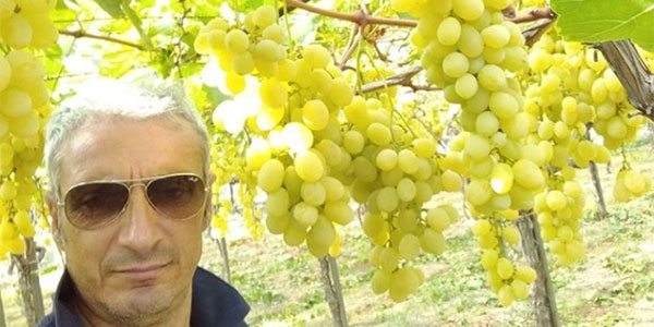 «Uva Pizzutella al via, stiamo tagliando oro»