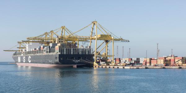 Porto di Trieste, traffici in crescita