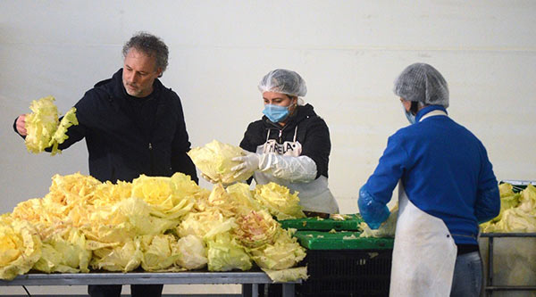 Numeri e trend dell'«oro rosso» (e variegato)