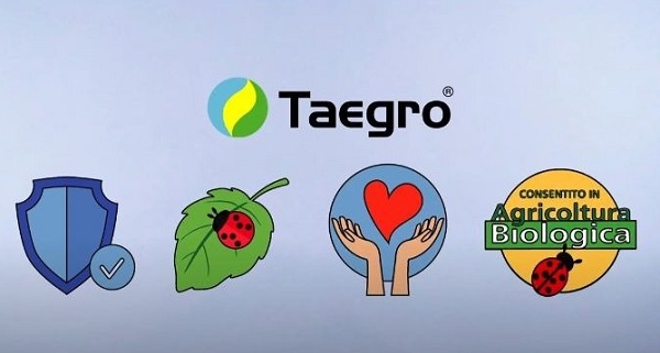 Taegro, il fungicida per ortofrutta bio e lotta integrata