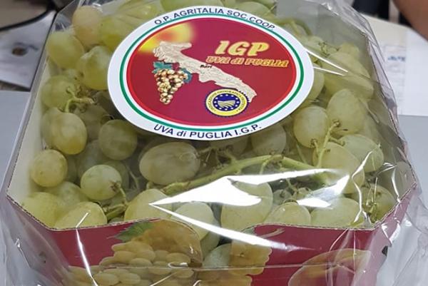 Uva di Puglia Igp, le scadenze per l'adesione