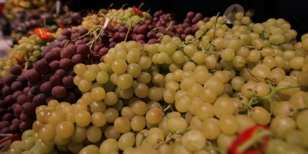 Il consumo di uva riduce il rischio di Alzheimer
