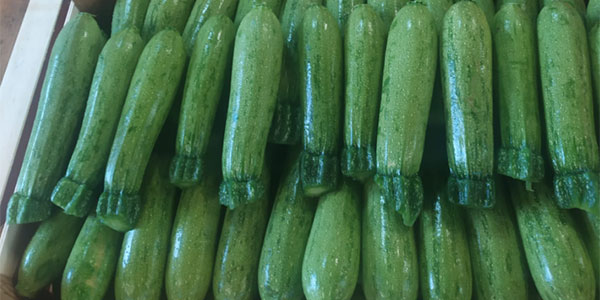 Caro zucchine sui mercati, la Romagna può sorridere 
