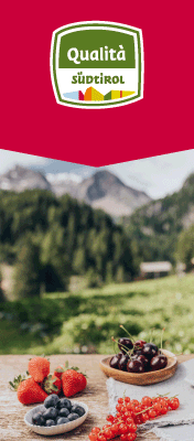 idm-alto-adige-top-sito-260601