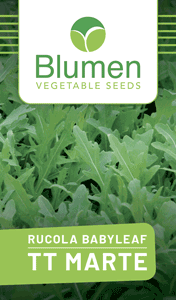 BLUMEN-SMART-SITO-MARTE-230111