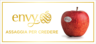 VIP-VOG-ENVY-MANCHETTE-SITO-221201