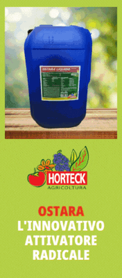 HORTECK-OSTARA-TOP-SITO-230612