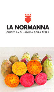 LA-NORMANNA-SMART-SITO-fico-240723