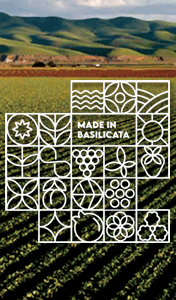 MADE-IN-BASILICATA-SMART-SITO-ISTITUZIONALE