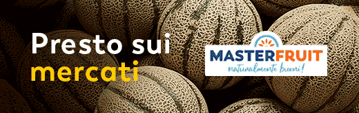 MASTERFRUIT-FLEXI-SITO-260303