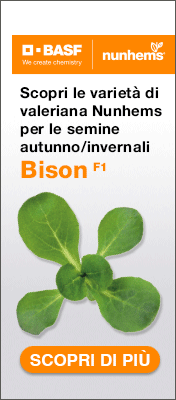 NUNHEMS-TOP-SITO-231010