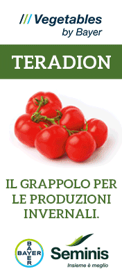 SEMINIS-MONSANTO-TOP-SITO-TERADION-221031