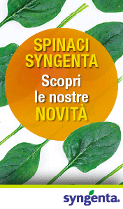 SYNGENTA-SMART-SITO-SPINACI-240408