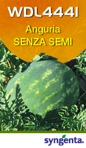 SYNGENTA-WDL4441-SMART-SITO-230714