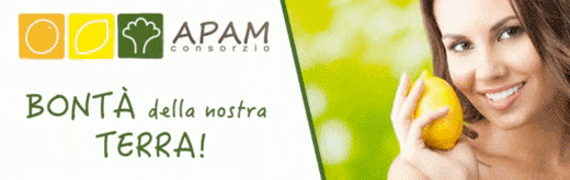 APAM-FLEXI-SITO-ISTITUZIONALE-260110