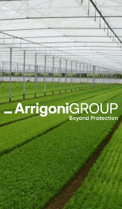 ARRIGONI-SMART-SITO-ALT-260901