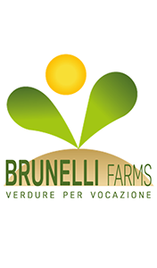 BRUNELLI-SMART-SITO-260415