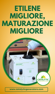 CATALYTIC-SMART-SITO-260401