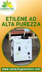 CATALYTIC-SMART-SITO-261001