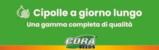 cora-seeds-flexi-sito-260127