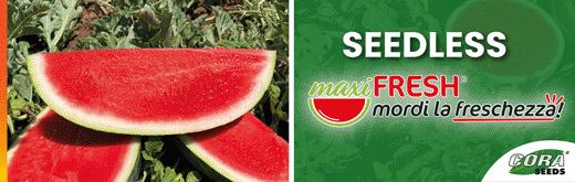 cora-seeds-flexi-sito-251208